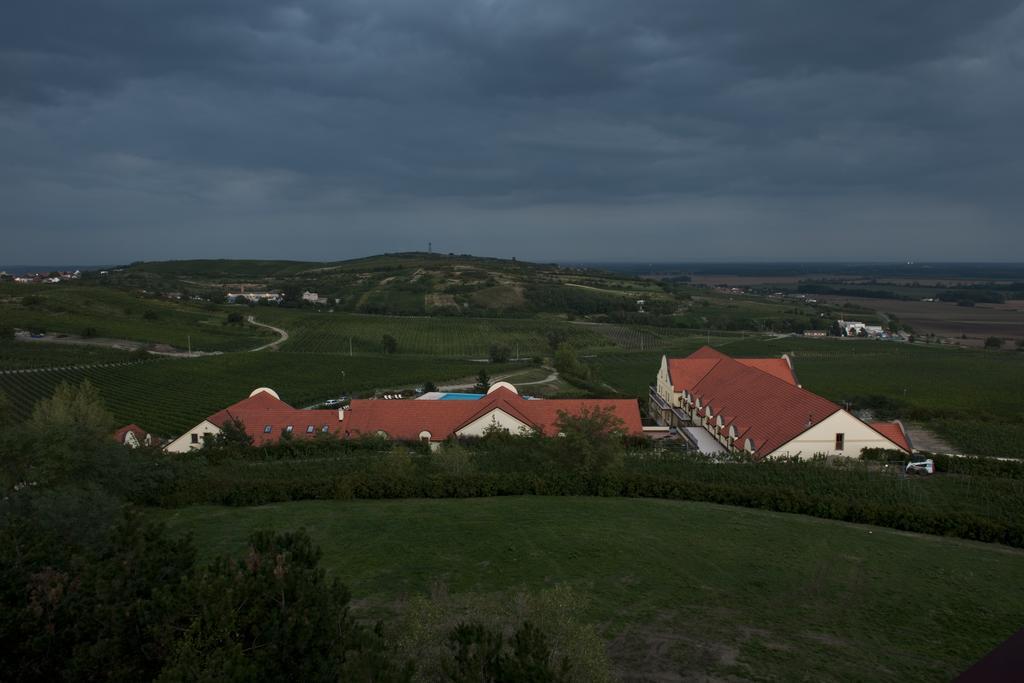 Hotel Vinarstvi U Kaplicky Zaječí Zimmer foto