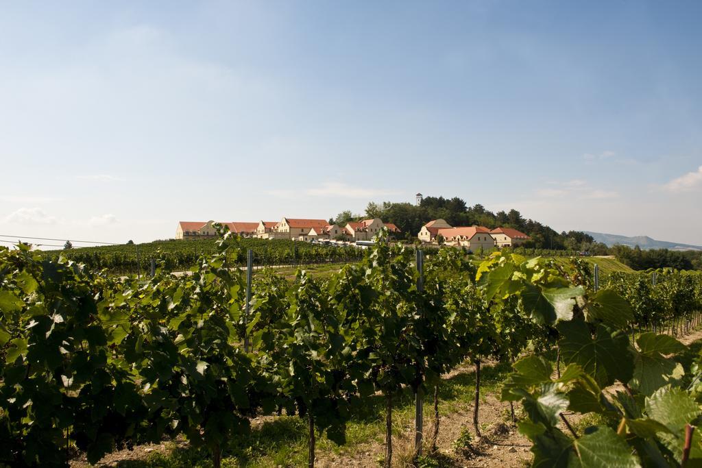 Hotel Vinarstvi U Kaplicky Zaječí Exterior foto